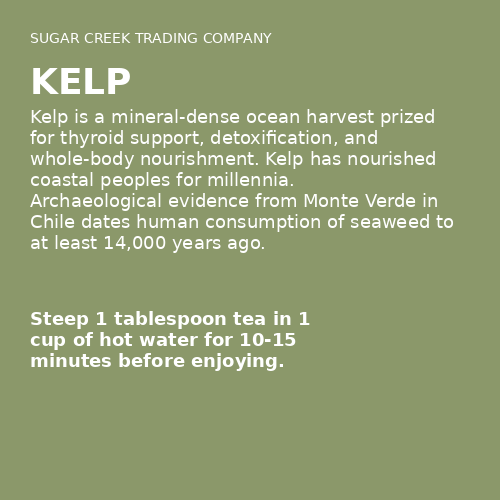 Kelp
