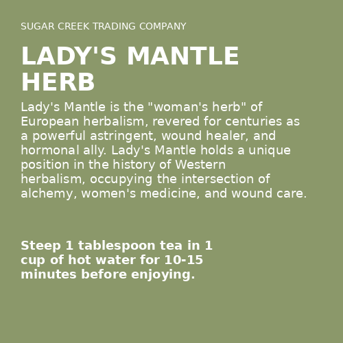 Lady's Mantle Herb