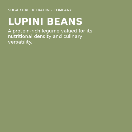 Lupini Beans