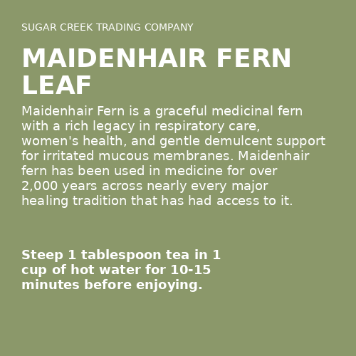 Maidenhair Fern Leaf