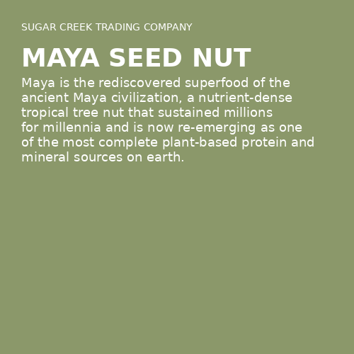 Maya Seed Nut