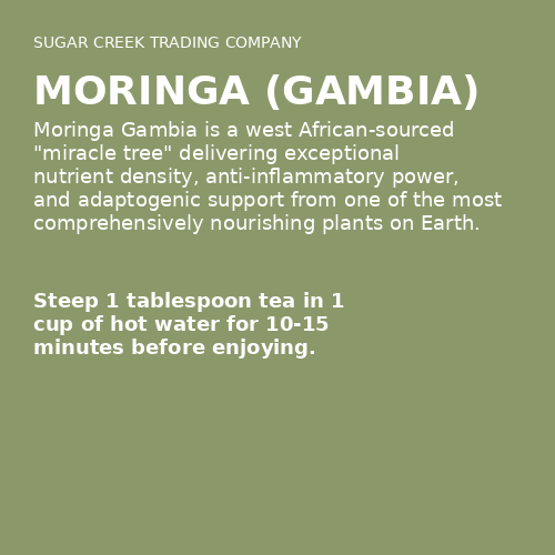 Moringa (Gambia)