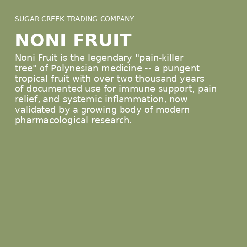 Noni Fruit