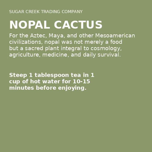 Nopal Cactus