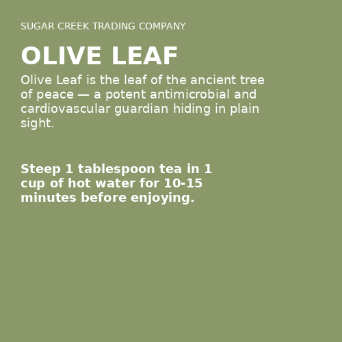 Olive Leaf