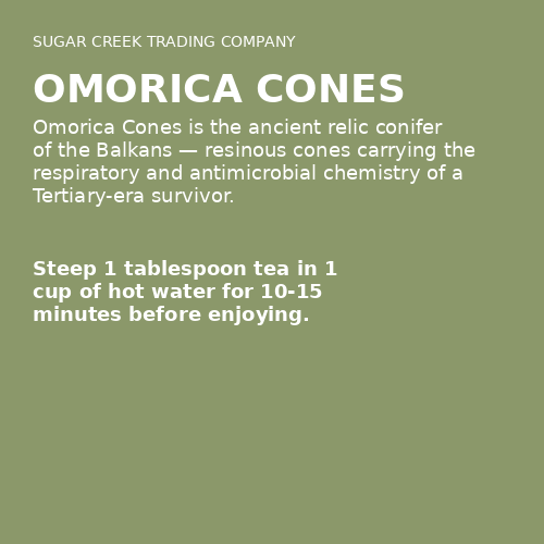 Omorica Cones