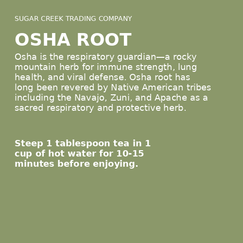 Osha Root – Sugar Creek Trading Company