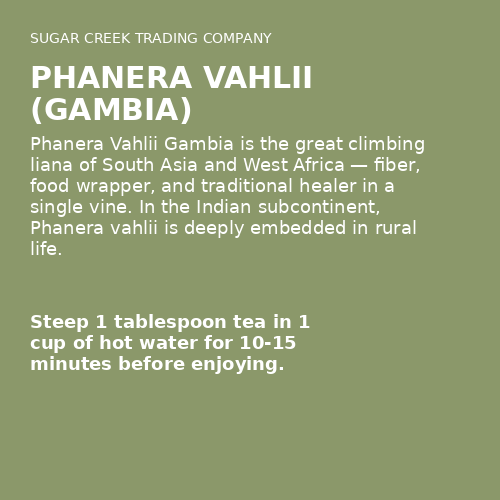 Phanera Vahlii (Gambia)