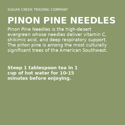 Pinon Pine Needles