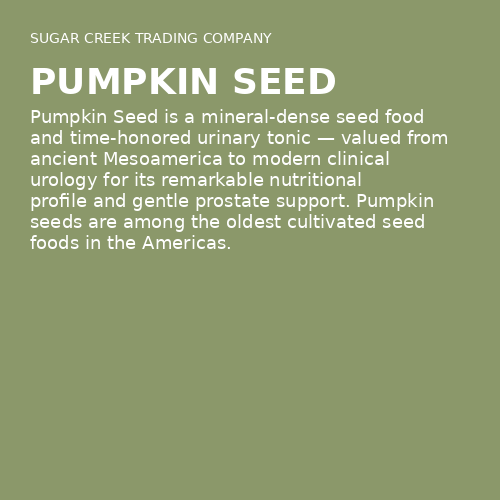 Pumpkin Seed