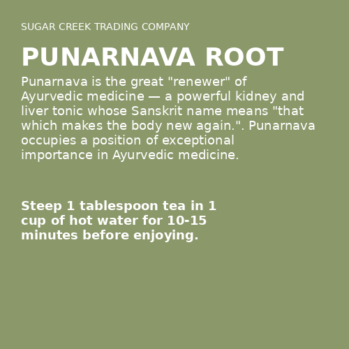 Punarnava Root