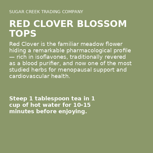 Red Clover Blossom Tops