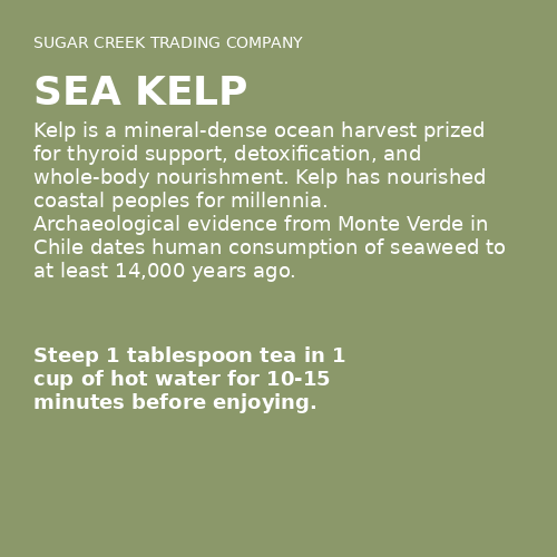 Sea Kelp