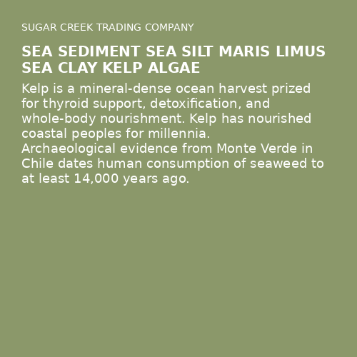 Sea Sediment Sea Silt Maris Limus Sea Clay Kelp Algae