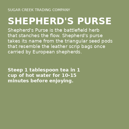 Shepherd's Purse