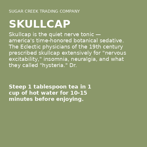 Skullcap