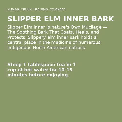 Slipper Elm Inner Bark