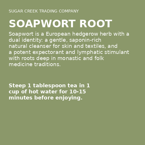 Soapwort Root