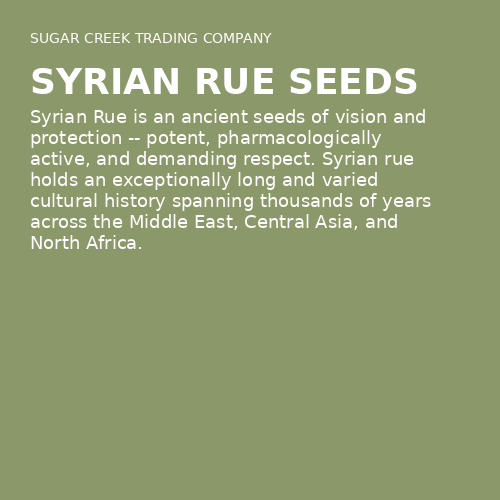 Syrian Rue Seeds