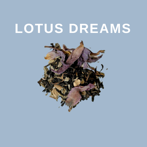 Lotus Dreams Herbal Tea