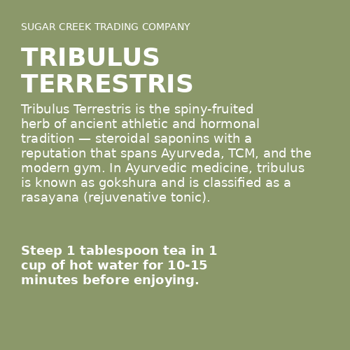 Tribulus Terrestris