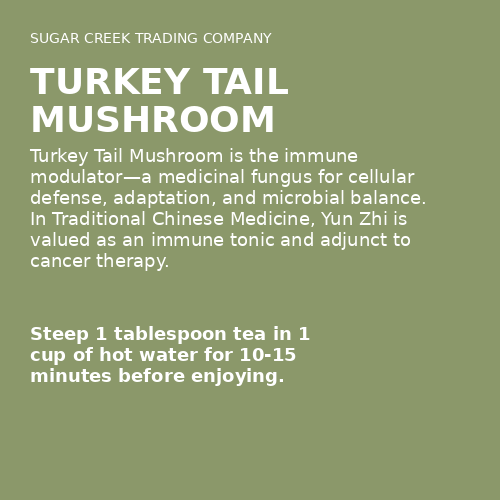 Turkey Tail Mushroom