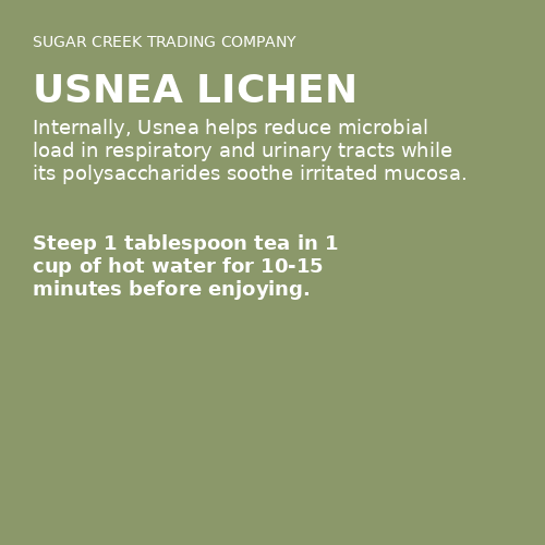 Usnea Lichen