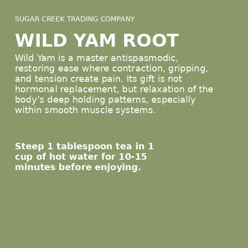 Wild Yam Root