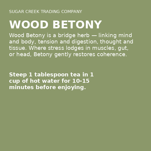 Wood Betony