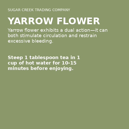 Yarrow Flower