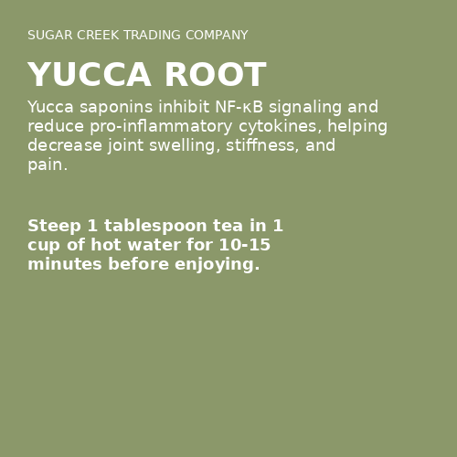 Yucca Root